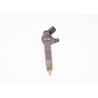 Einspritzdüse BOSCH 0 445 110 646 - 1 Stück