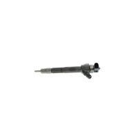 Einspritzdüse BOSCH 0 445 110 646 - 1 Stück