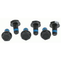 SACHS 3096 005 000 Schraubensatz, Schwungrad