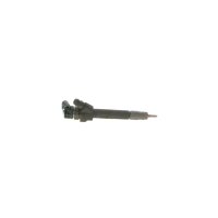 Einspritzdüse BOSCH 0 445 110 616 - 1 Stück