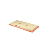 FILTRON AP 035/6 Luftfilter