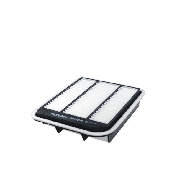 FILTRON AP 172/4 Luftfilter