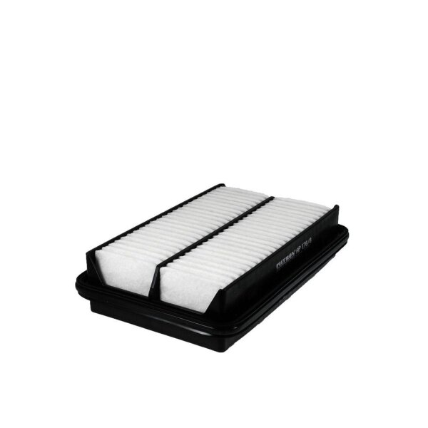 FILTRON AP 176/8 Luftfilter