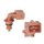 VALEO 255605 Sensor, Ansauglufttemperatur
