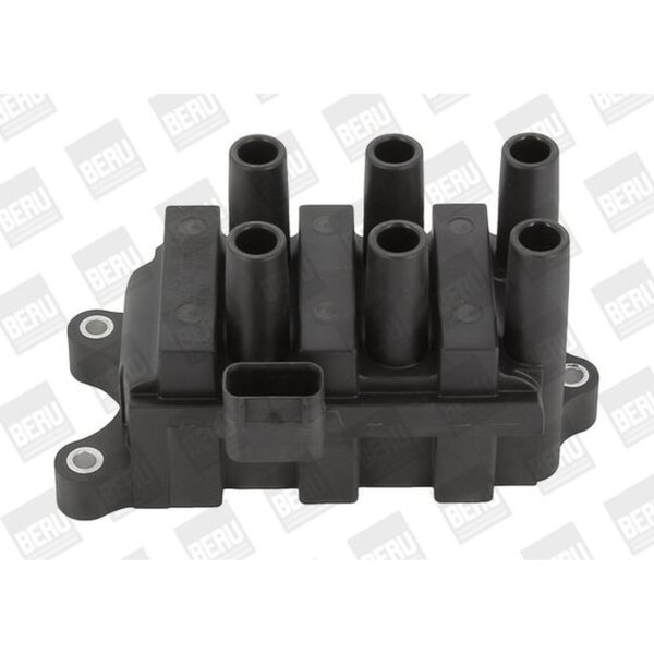 BorgWarner (BERU) ZS372 Zündspule