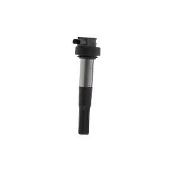BorgWarner (BERU) ZS386 Zündspule