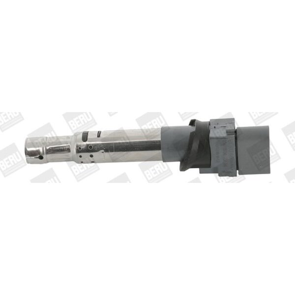 BorgWarner (BERU) ZSE041 Zündspule