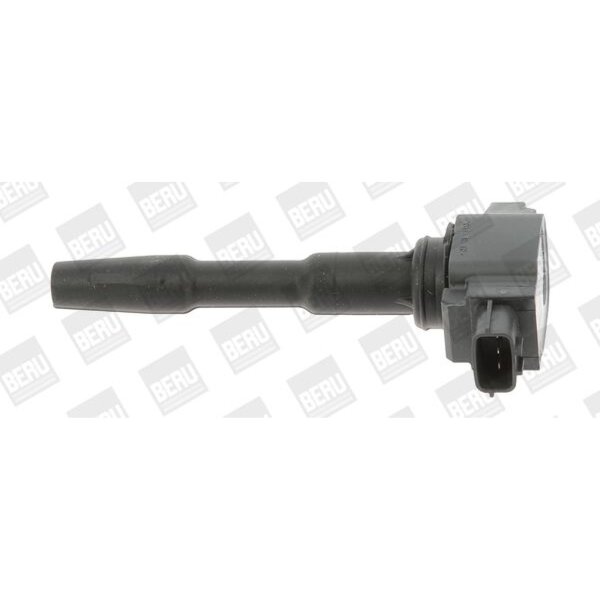 BorgWarner (BERU) ZSE131 Zündspule
