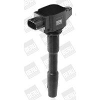 BorgWarner (BERU) ZSE131 Zündspule