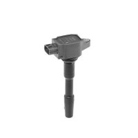 BorgWarner (BERU) ZSE131 Zündspule