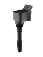 BorgWarner (BERU) ZSE137 Zündspule
