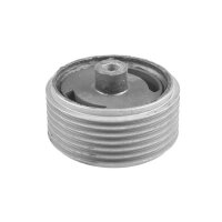 TEDGUM 00465204 Lagerung, Motor