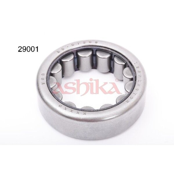 ASHIKA 44-29001 Radlagersatz
