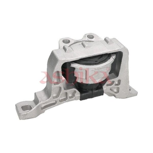 ASHIKA GOM-366 Lagerung, Motor