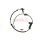 ASHIKA 151-0H-H67 Sensor, Raddrehzahl