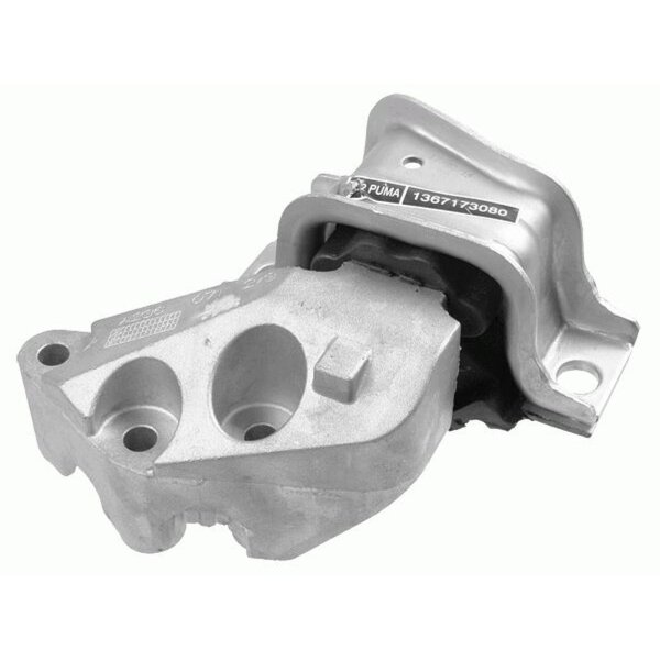 LEMFÖRDER 37007 01 Lagerung, Motor