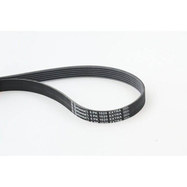 CONTINENTAL CTAM 6PK1020 EXTRA Keilrippenriemen