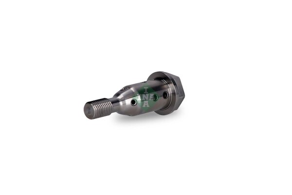 Schaeffler INA 427 0019 10 Zentralventil, Nockenwellenverstellung