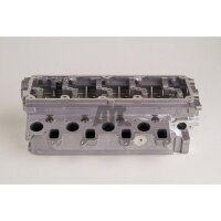 AMC 908150 Zylinderkopf