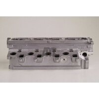 AMC 908150 Zylinderkopf