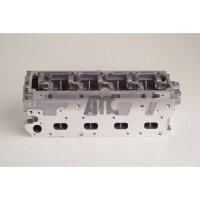AMC 908725 Zylinderkopf