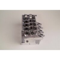 AMC 908725 Zylinderkopf
