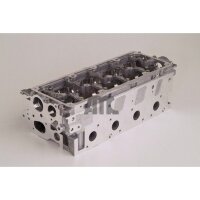 AMC 908800 Zylinderkopf
