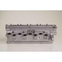 AMC 908800 Zylinderkopf