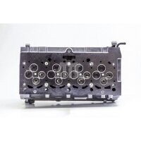 AMC 908818 Zylinderkopf