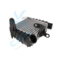 CLIMTEX CH4-110 Ladeluftkühler