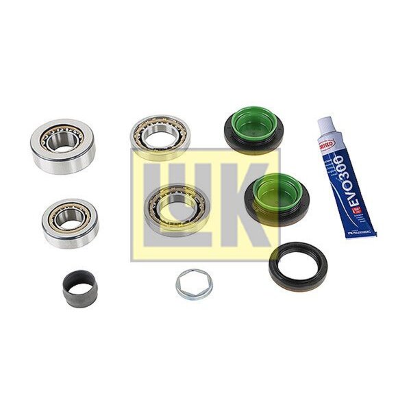 Schaeffler LuK 462 0147 10 Reparatursatz, Differential