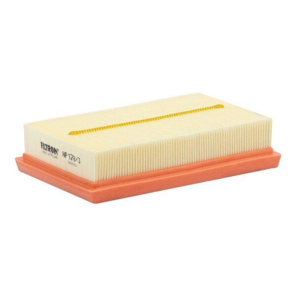 FILTRON AP 178/3 Luftfilter