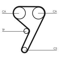 CONTINENTAL CTAM CT881K6 Zahnriemensatz