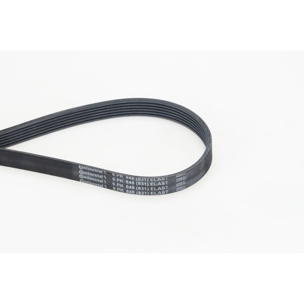 CONTINENTAL CTAM 6PK848 ELAST Keilrippenriemen