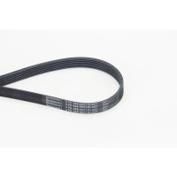 CONTINENTAL CTAM 6PK848 ELAST Keilrippenriemen