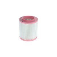 BOSCH F 026 400 443 Luftfilter