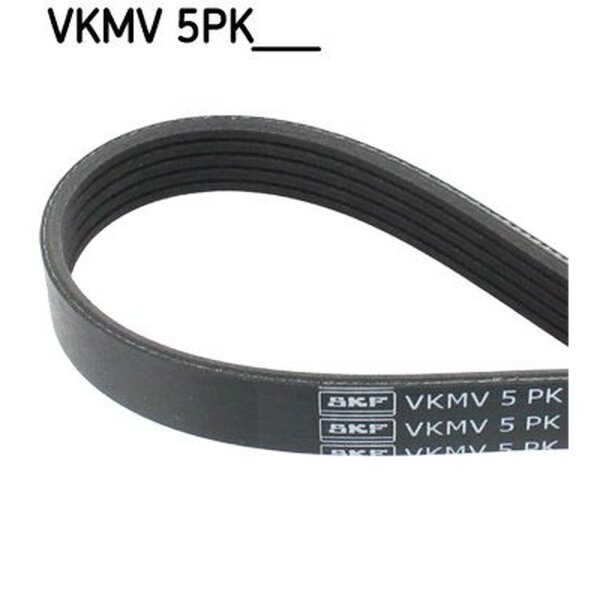 SKF VKMV 5PK1811 Keilrippenriemen