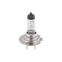 TOPRAN 108 842 Glühlampe, Hauptscheinwerfer