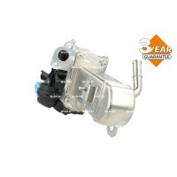 NRF 48204 AGR-Ventil
