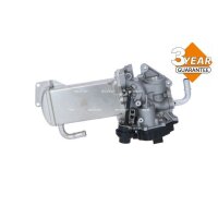 NRF 48209 AGR-Ventil
