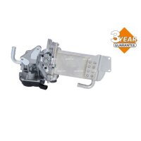 NRF 48209 AGR-Ventil