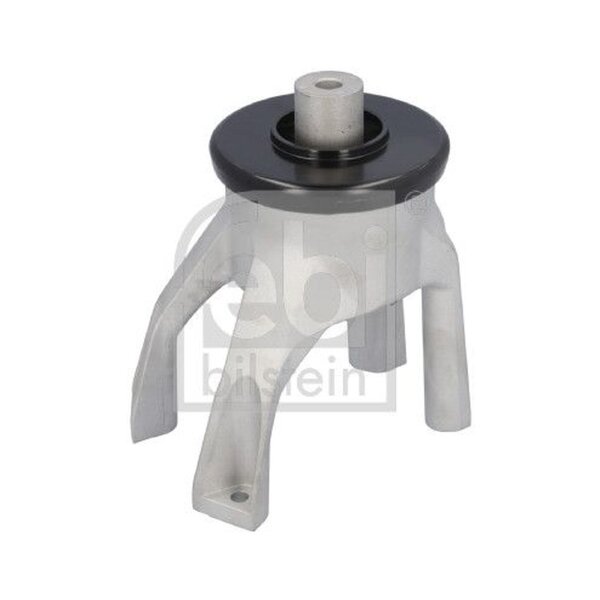 FEBI BILSTEIN 44243 Lagerung, Motor