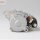 DENSO DSN1300 Starter