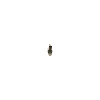 Einspritzventil BOSCH 0 261 500 160 - 1 Stück