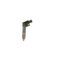 Einspritzdüse BOSCH 0 445 116 070 - 1 Stück