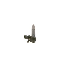 Einspritzdüse BOSCH 0 445 116 070 - 1 Stück