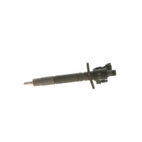 Einspritzdüse BOSCH 0 445 117 052 - 1 Stück