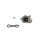 BOSCH 1 987 946 483 Wasserpumpe + Zahnriemensatz
