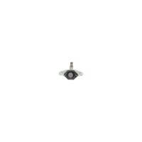 BOSCH F 04R 320 375 Generatorregler