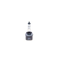 BOSCH 1 987 302 024 Glühlampe, Nebelscheinwerfer